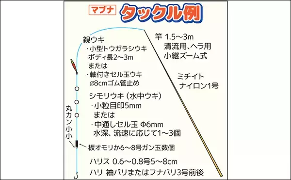 「春の乗っ込みマブナ（ギンブナ）釣り解説 【仕掛け・エサ・ポイント選び方・釣り方】」の画像