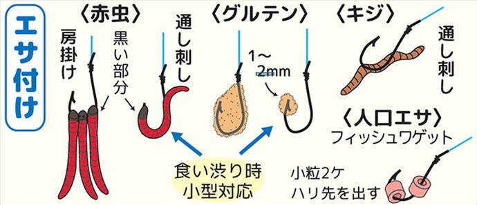 春の乗っ込みマブナ（ギンブナ）釣り解説 【仕掛け・エサ・ポイント選び方・釣り方】