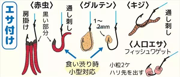 「春の乗っ込みマブナ（ギンブナ）釣り解説 【仕掛け・エサ・ポイント選び方・釣り方】」の画像