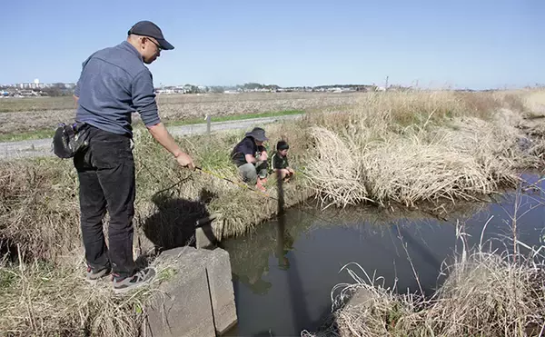 「春の乗っ込みマブナ（ギンブナ）釣り解説 【仕掛け・エサ・ポイント選び方・釣り方】」の画像
