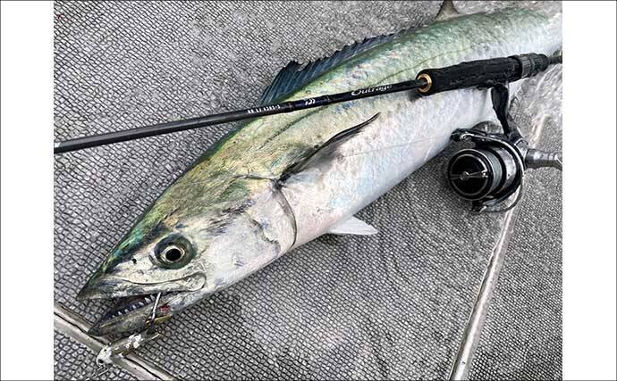 博多湾のブレードジギングで90cm超4kgサワラ手中！【福岡】タングステンジグが炸裂