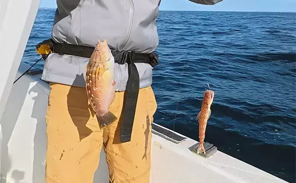 「「海底の起伏を狙うと魚が釣れる！」 ボートアマダイ釣りで地形釣りが的中」の画像