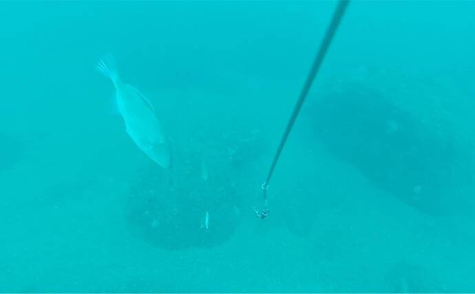 「海底の起伏を狙うと魚が釣れる！」 ボートアマダイ釣りで地形釣りが的中