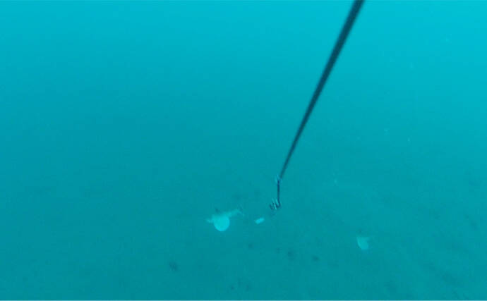 「海底の起伏を狙うと魚が釣れる！」 ボートアマダイ釣りで地形釣りが的中