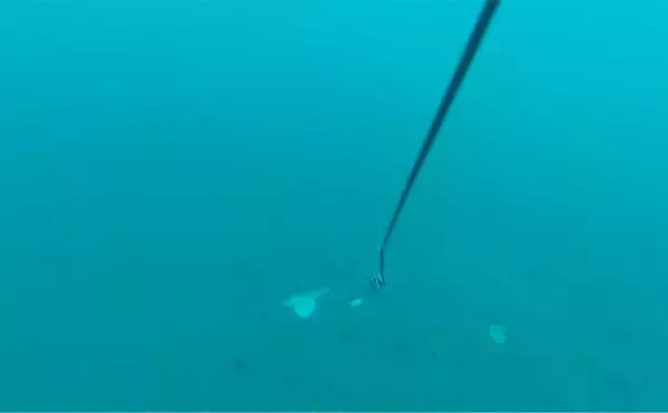 「「海底の起伏を狙うと魚が釣れる！」 ボートアマダイ釣りで地形釣りが的中」の画像