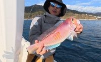 「海底の起伏を狙うと魚が釣れる！」 ボートアマダイ釣りで地形釣りが的中