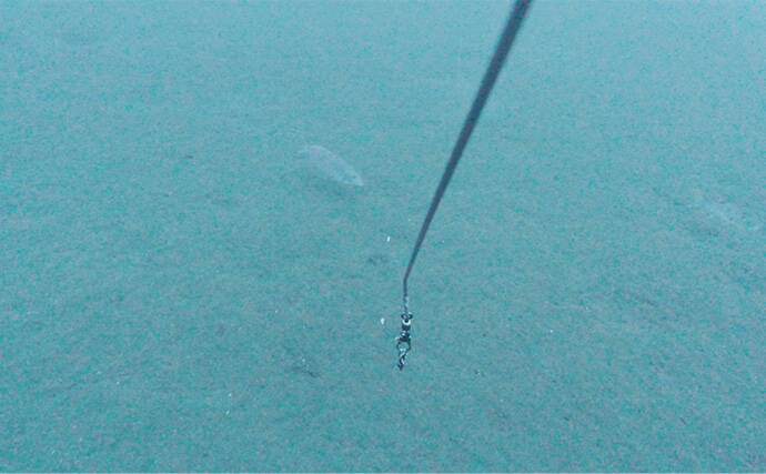 「海底の起伏を狙うと魚が釣れる！」 ボートアマダイ釣りで地形釣りが的中