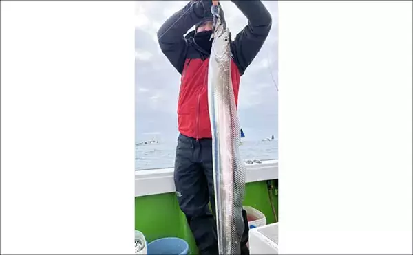 「【沖釣り釣果速報】石鯛五目で3kg級イシダイ登場！　大分沖で多彩魚種ヒット（大分・熊本）」の画像