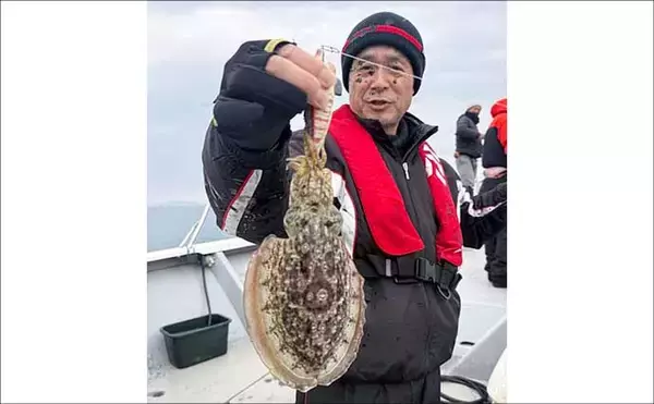 「【沖釣り釣果速報】石鯛五目で3kg級イシダイ登場！　大分沖で多彩魚種ヒット（大分・熊本）」の画像