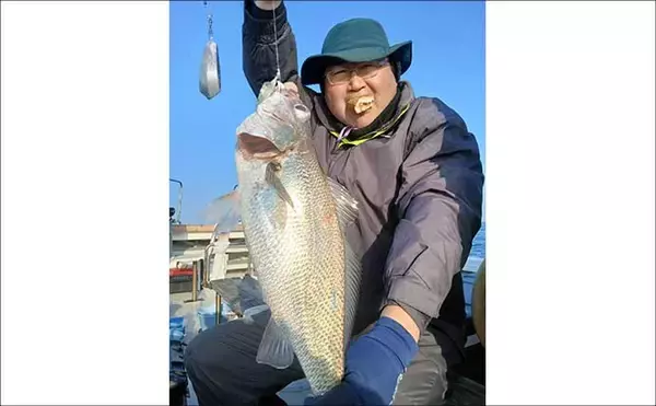 「【沖釣り釣果速報】石鯛五目で3kg級イシダイ登場！　大分沖で多彩魚種ヒット（大分・熊本）」の画像