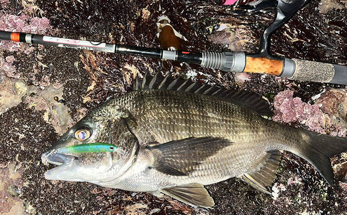 磯メバリングの実績抜群プラグルアー3選　ライトゲーム初心者にもオススメ！