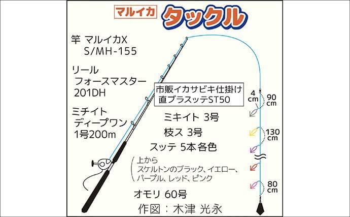 相模湾マルイカ釣りで本命トップ17尾【まごうの丸・神奈川】ムギ・ヤリイカ交じる