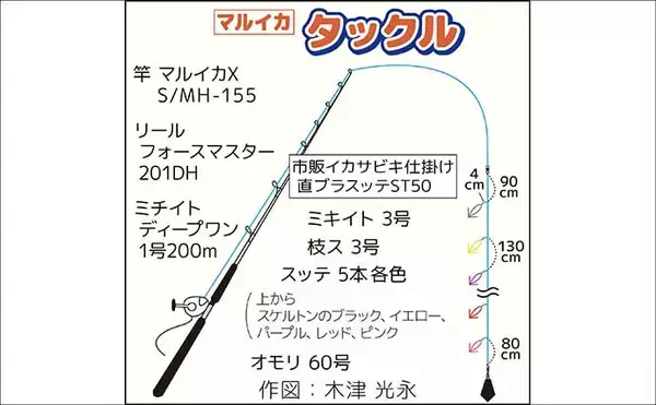 「相模湾マルイカ釣りで本命トップ17尾【まごうの丸・神奈川】ムギ・ヤリイカ交じる」の画像