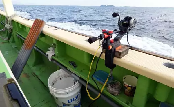 「相模湾マルイカ釣りで本命トップ17尾【まごうの丸・神奈川】ムギ・ヤリイカ交じる」の画像