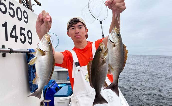 金洲のスルメイカ泳がせ釣りで8kg大型マハタ堂々浮上！【船釣り最新情報10選・東海】