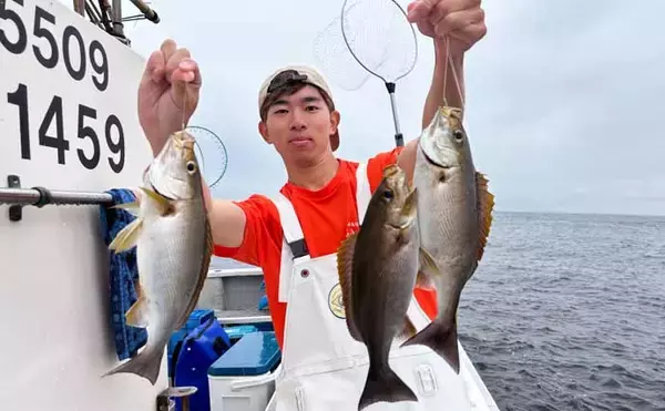 「金洲のスルメイカ泳がせ釣りで8kg大型マハタ堂々浮上！【船釣り最新情報10選・東海】」の画像