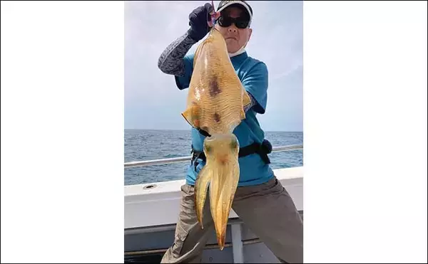 「【釣果速報】レンタルボートのファミリーフィッシングで魚種多彩に満喫（三重）」の画像