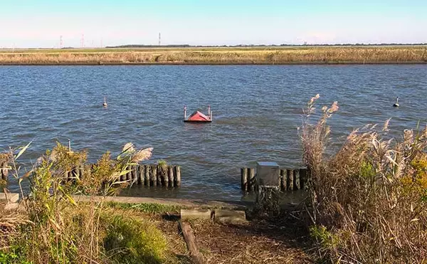 「今週のヘラブナ推薦釣り場2023【千葉・黒部川】」の画像