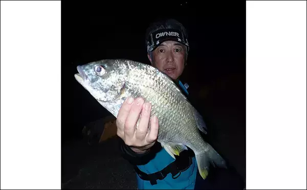 「夜の浅場で大型キビレを狙い撃ち【熊本・三角港】ウキ釣りで45cm超えキャッチ成功」の画像