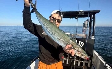 【沖のルアー釣果速報】伊勢湾沖キャスティングゲームで良型サワラ連発！（愛知）