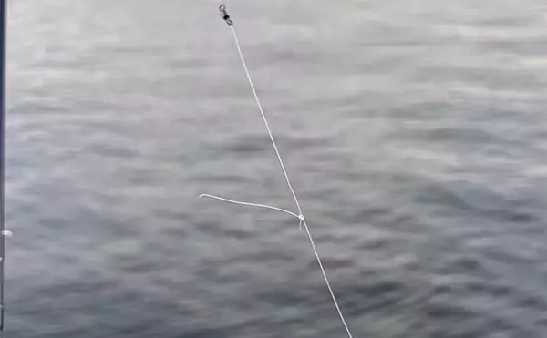 「泉大津でのショアジギング釣行で無限サバ祭り【大阪】サゴシは不発」の画像