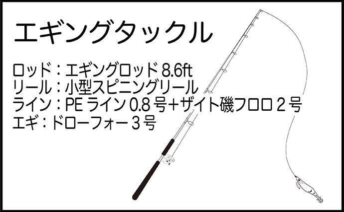 堤防から1kg級モンゴウイカ手中！【熊本】派手なシャクリからの長めステイでヒット