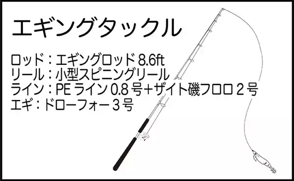「堤防から1kg級モンゴウイカ手中！【熊本】派手なシャクリからの長めステイでヒット」の画像