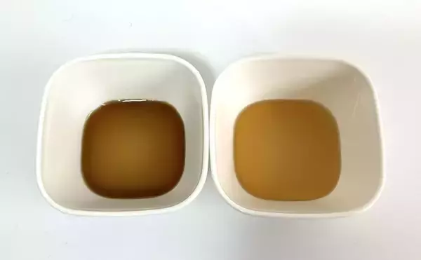 「日本の魚醤＜いしる＞とタイの魚醤＜ナンプラー＞の違い　魚料理に合うのはどっち？」の画像