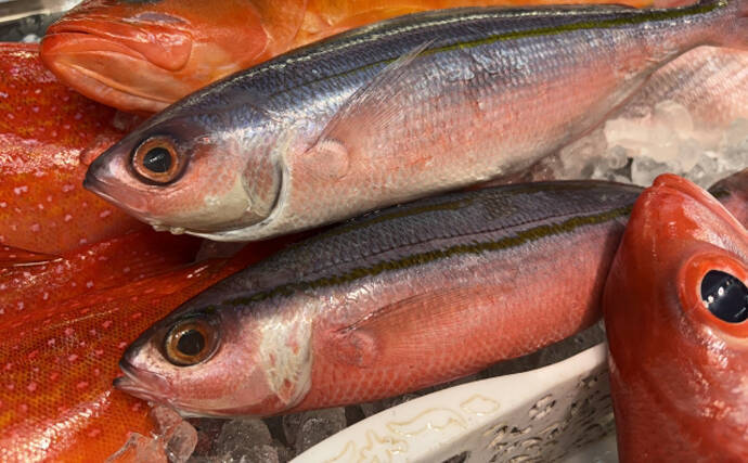 標準和名と属するグループ名があべこべなサカナたち　国際ルールに合わせた結果？