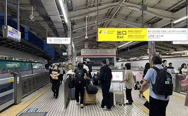 「東京出張のお供にクロダイ落とし込み釣りと深川めしが最高！　運河のデカチヌを狙ってみた」の画像