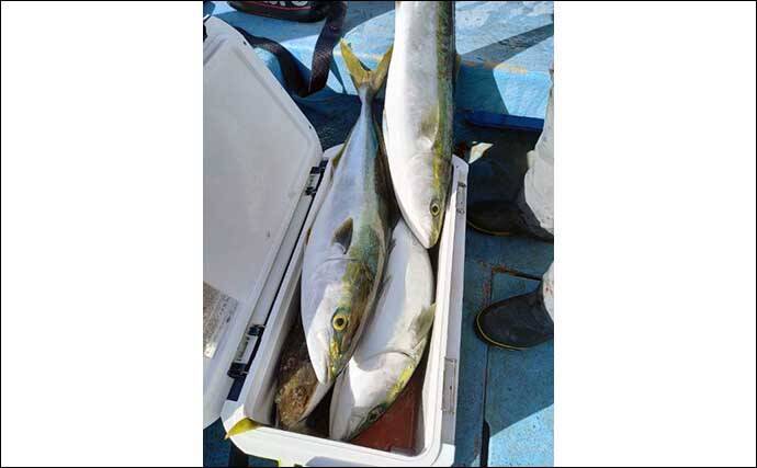 三重 愛知 沖のエサ釣り最新釣果 カサゴ釣りでメバル混じりで大漁 22年1月16日 エキサイトニュース