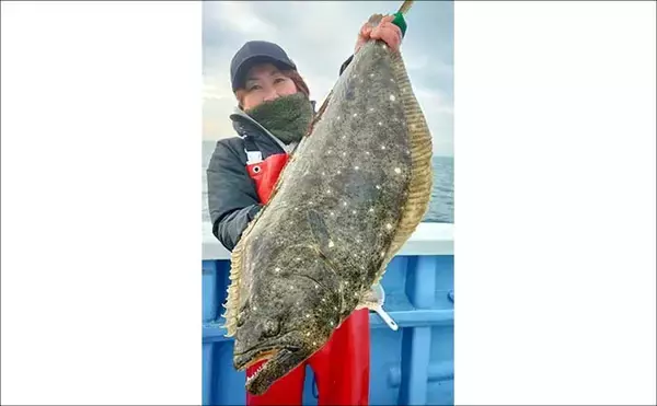 「関東エリアの【船釣り特選釣果】東京湾ルアー五目便で70cm超え良型シーバス炸裂！青物・アジも好調」の画像