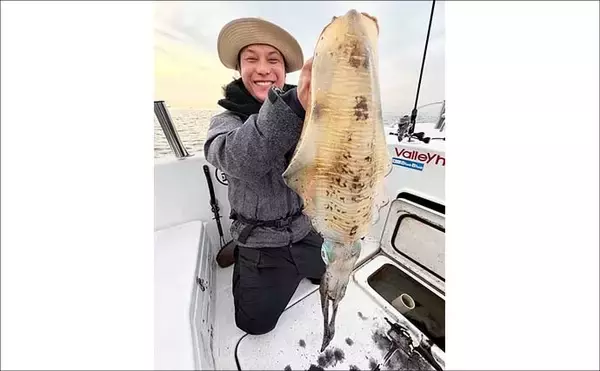 「【沖のルアー釣果速報】SLJ＆タイラバ便で多彩な釣果！クエ・サワラ・キジハタ好捕（愛知・静岡）」の画像