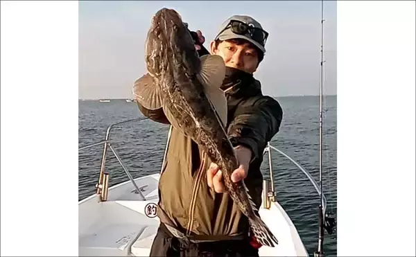 「【沖のルアー釣果速報】良型サワラ浮上で青物ラッシュ　ジギング中心に好釣果続出（愛知）」の画像