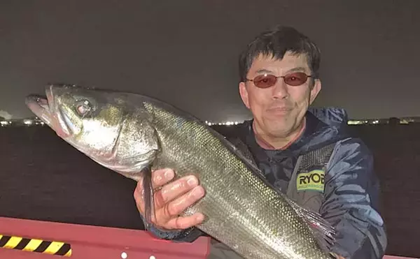 衣浦海底トンネルのエビまき釣りでスズキ70cm＆マダカ65cm浮上【愛知】クロダイ44cmも登場