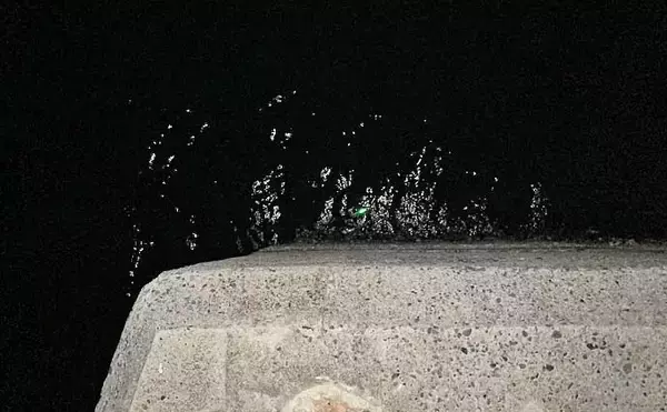 「衣浦海底トンネルのエビまき釣りでスズキ70cm＆マダカ65cm浮上【愛知】クロダイ44cmも登場」の画像