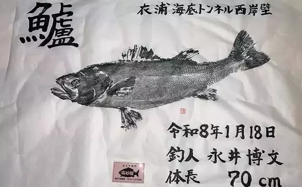 「衣浦海底トンネルのエビまき釣りでスズキ70cm＆マダカ65cm浮上【愛知】クロダイ44cmも登場」の画像