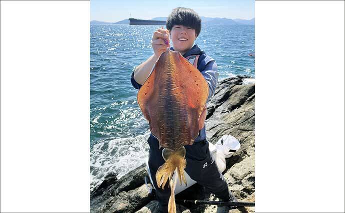 沖磯エギングで2.1kgアオリイカをキャッチ！【秀吉丸・長崎】激流の中でヒット