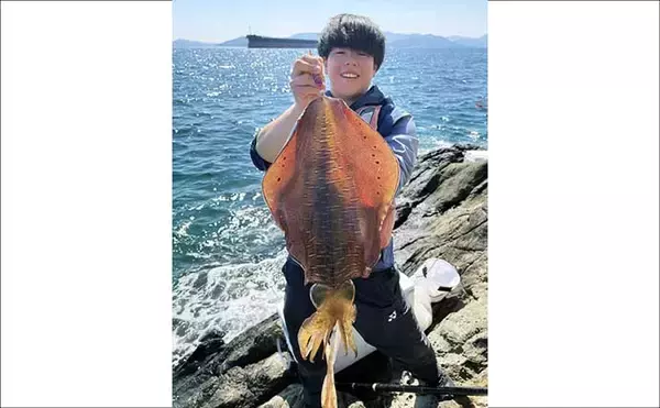 「沖磯エギングで2.1kgアオリイカをキャッチ！【秀吉丸・長崎】激流の中でヒット」の画像