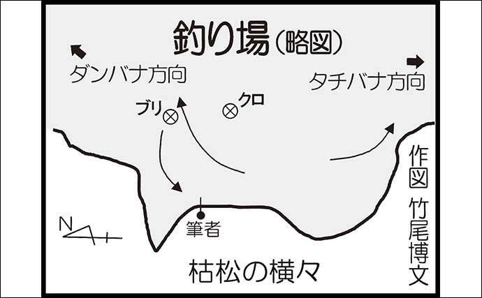 磯フカセ釣りで46cm良型クロ手中【大分】 好ゲストに65cmブリ
