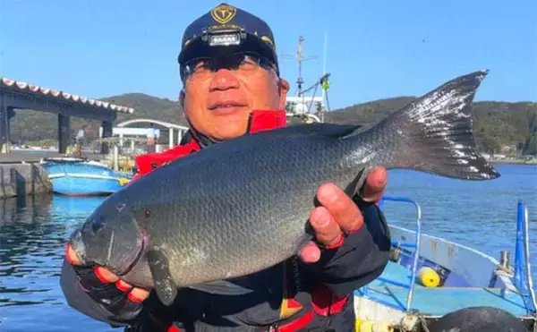 「磯フカセ釣りで46cm良型クロ手中【大分】 好ゲストに65cmブリ」の画像