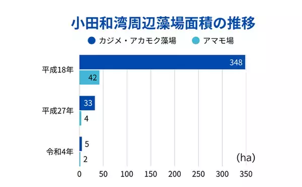 「「漁業体験でタコをゲット！」相模湾でタコつぼ漁や刺し網漁を体験できるサービスとは？」の画像