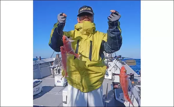 「「アカイサキ釣りで連掛け連発！」1人平均30尾にゲスト5kgマダイもキャッチ【福岡・第二大福丸】」の画像