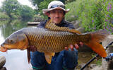 「半日のコイ釣りで本命6尾と絶好調【埼玉・元荒川】パンで寄せてグルテンで喰わす」の画像1