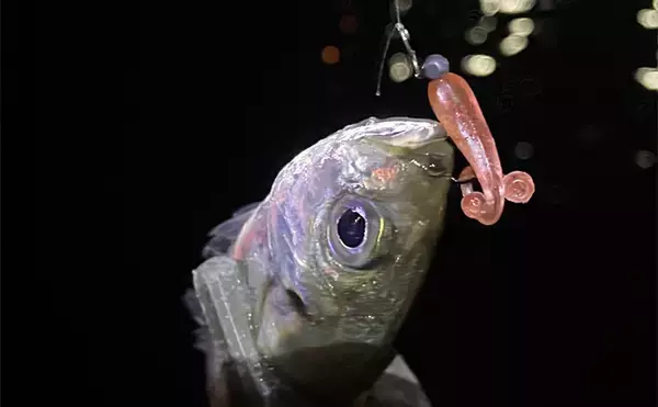 ライトゲーム定番の【アミカラーってどんな色？】プランクトンパターンに効果的