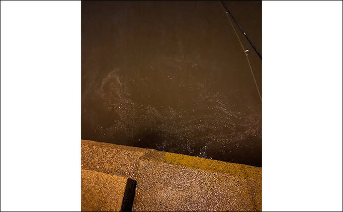 ライトゲーム定番の【アミカラーってどんな色？】プランクトンパターンに効果的