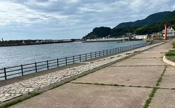 「越前のヤエン釣りでアオリイカ当たりっぱなし！【福井】これぞ最盛期の釣り」の画像