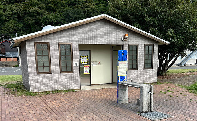 越前のヤエン釣りでアオリイカ当たりっぱなし！【福井】これぞ最盛期の釣り