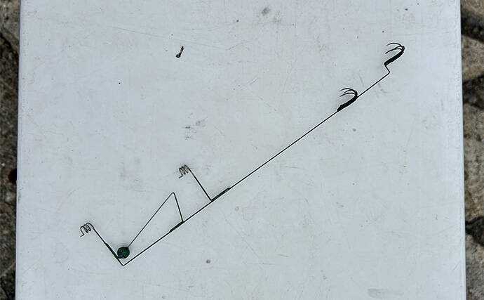 越前のヤエン釣りでアオリイカ当たりっぱなし！【福井】これぞ最盛期の釣り