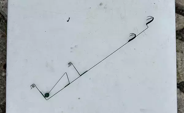 「越前のヤエン釣りでアオリイカ当たりっぱなし！【福井】これぞ最盛期の釣り」の画像